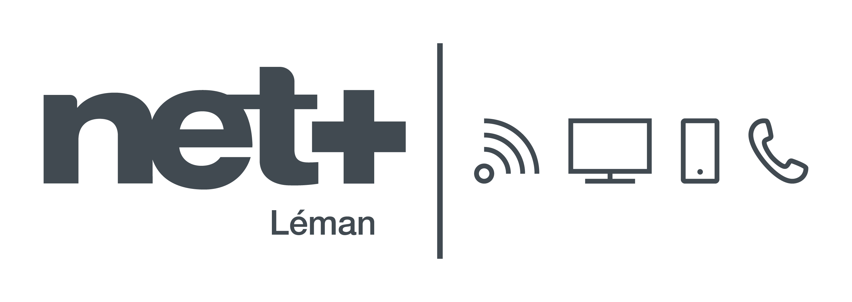 Logo netLeman fond transparent